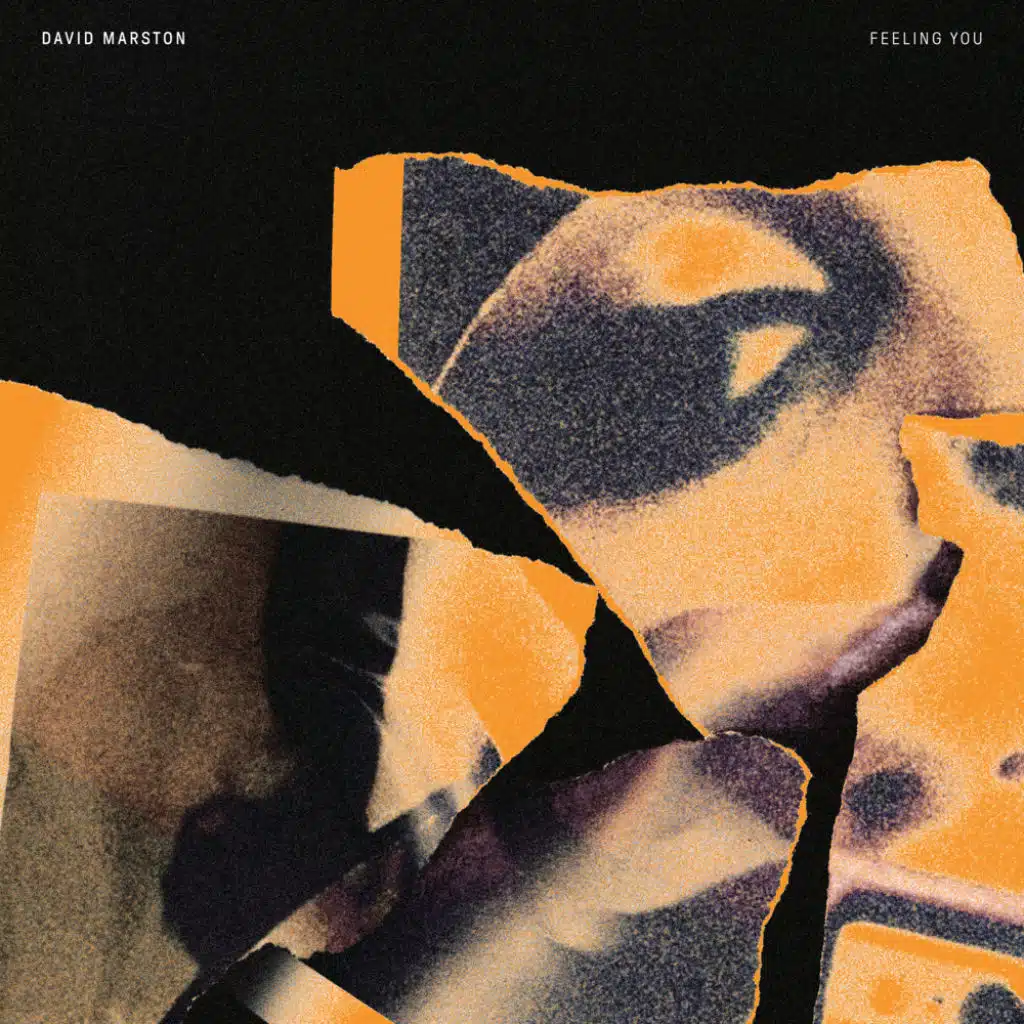 Feeling You (Lowheads Dub) [feat. Craig Williamson]