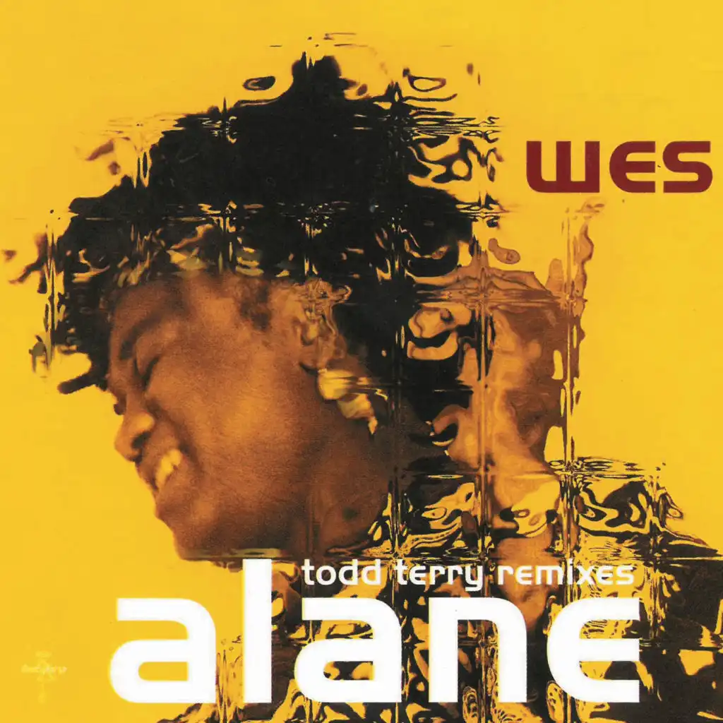 Alane (Todd Terry's Radio Mix)