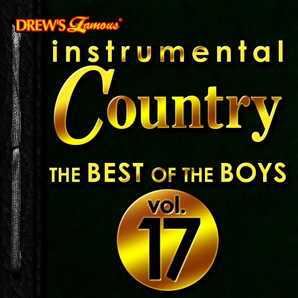 Instrumental Country: The Best of the Boys, Vol. 17