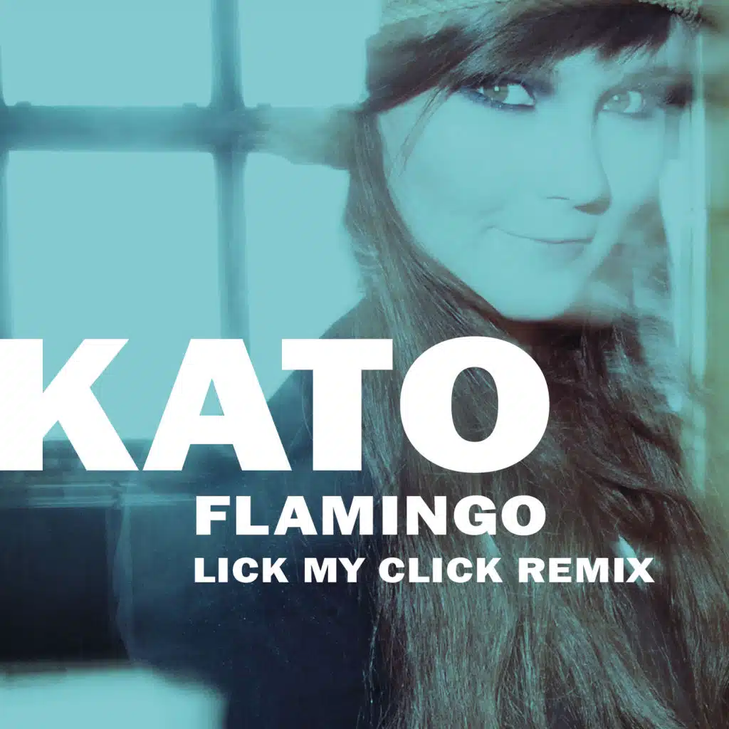 Flamingo (Lick My Click Remix Extended Version)