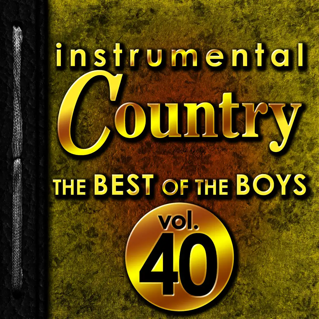 Instrumental Country: The Best of the Boys, Vol. 40