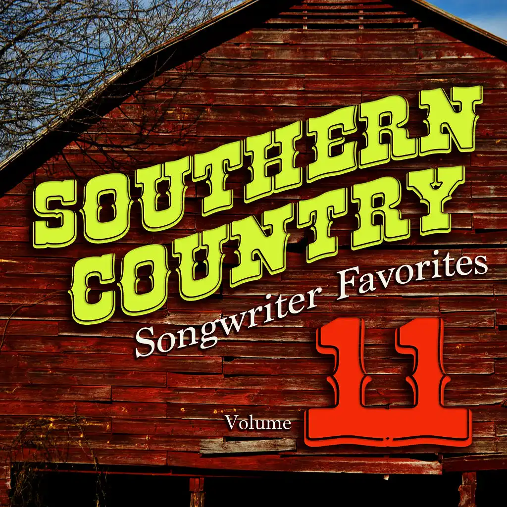 Southern Country Songwriter Favorites, Vol. 11