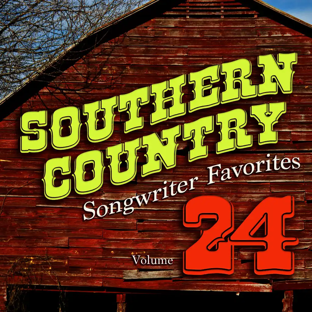 Southern Country Songwriter Favorites, Vol. 24