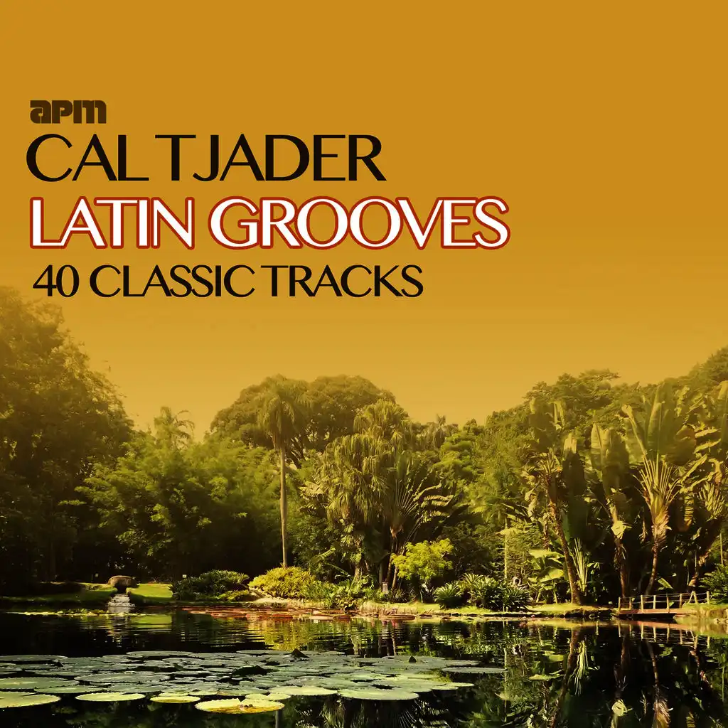 Latin Grooves - 40 Classic Tracks