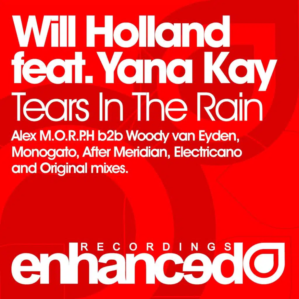 Tears In The Rain (After Merdian Remix) [feat. Yana Kay]
