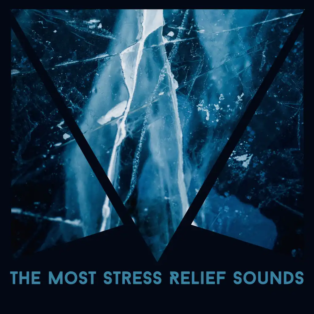 The Most Stress Relief Sounds: Calm Down, New Age Therapy Music, Calm Nerves, Music to Help You Relax