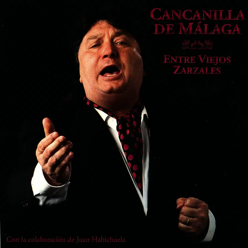 Las Claras del Día (Bulerías)