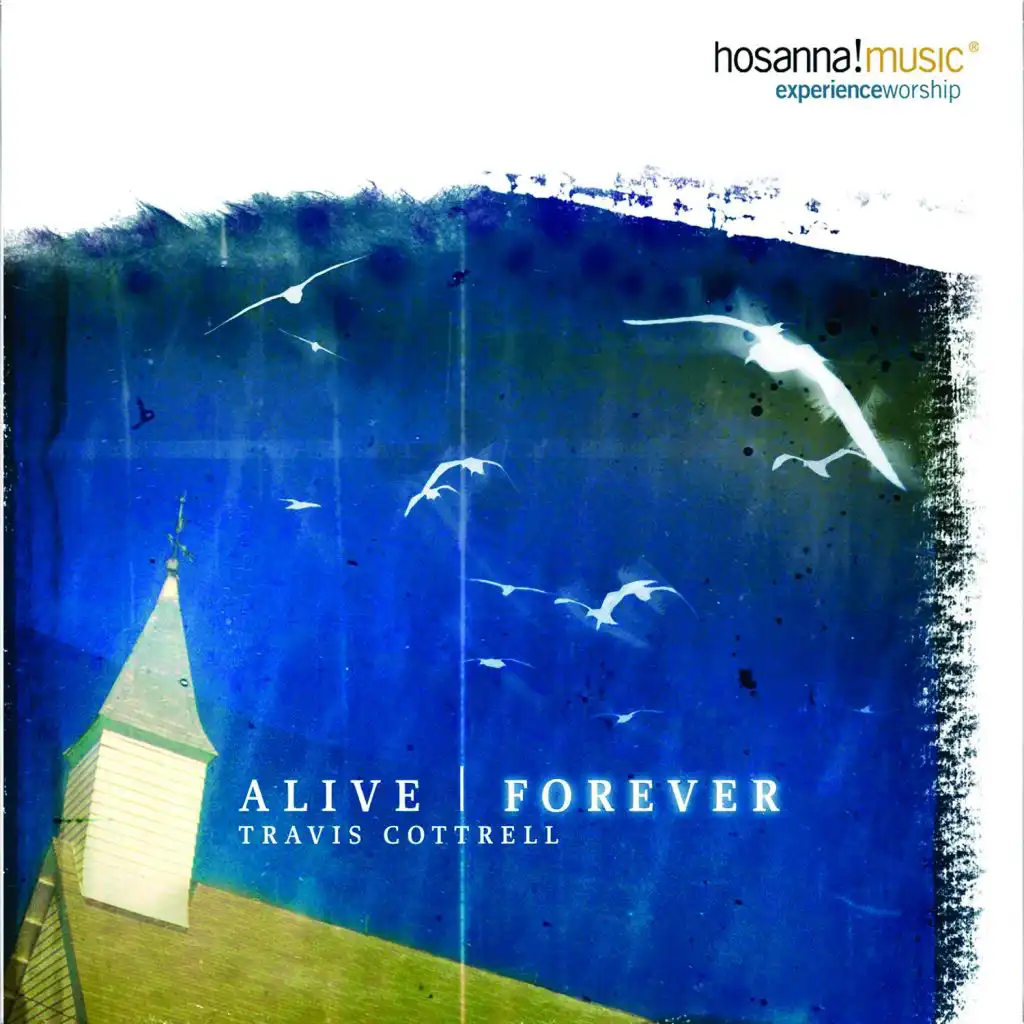 Alive Forever (Live) (Split Trax)