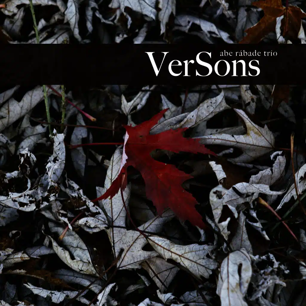 VerSons