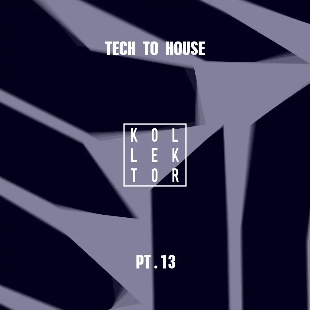 Tech to House, Pt. 13