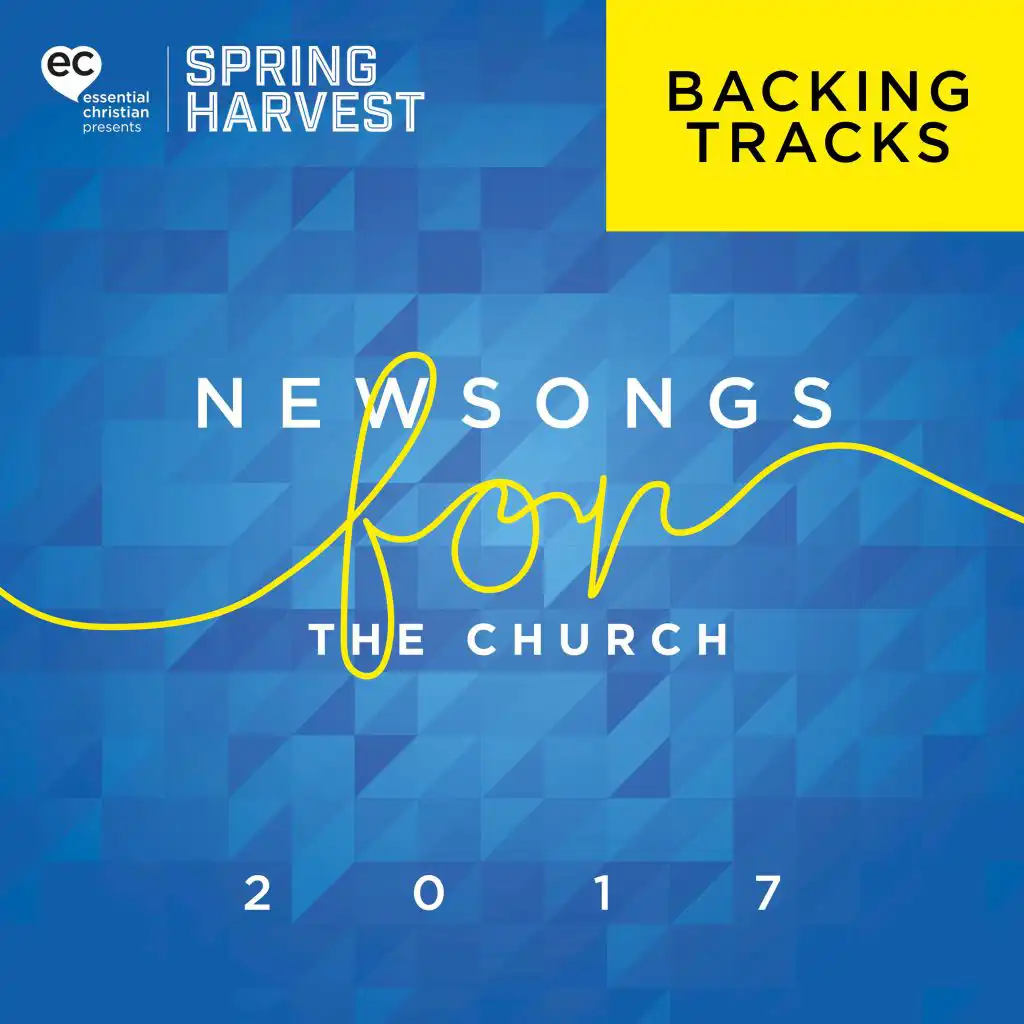 Newsongs for the Church 2017 (Backing Tracks)