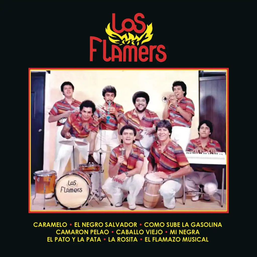 Los Flamers