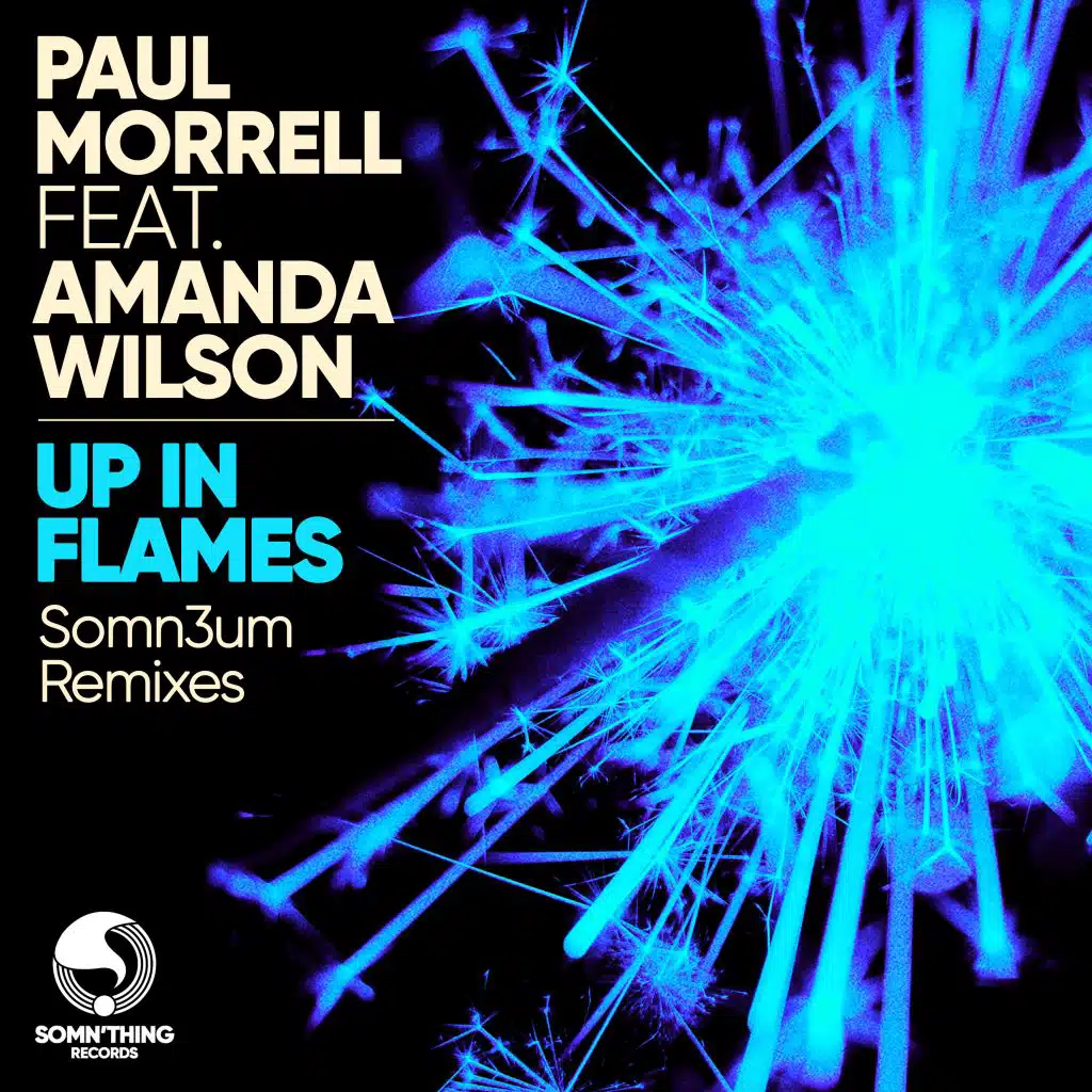 Up In Flames (Somn3um Remixes) [feat. Amanda Wilson]