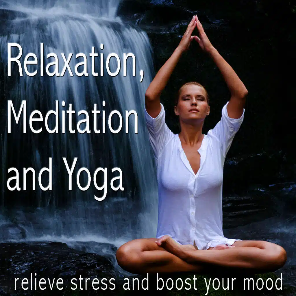 Franz Liszt & Dubravka Tomsic