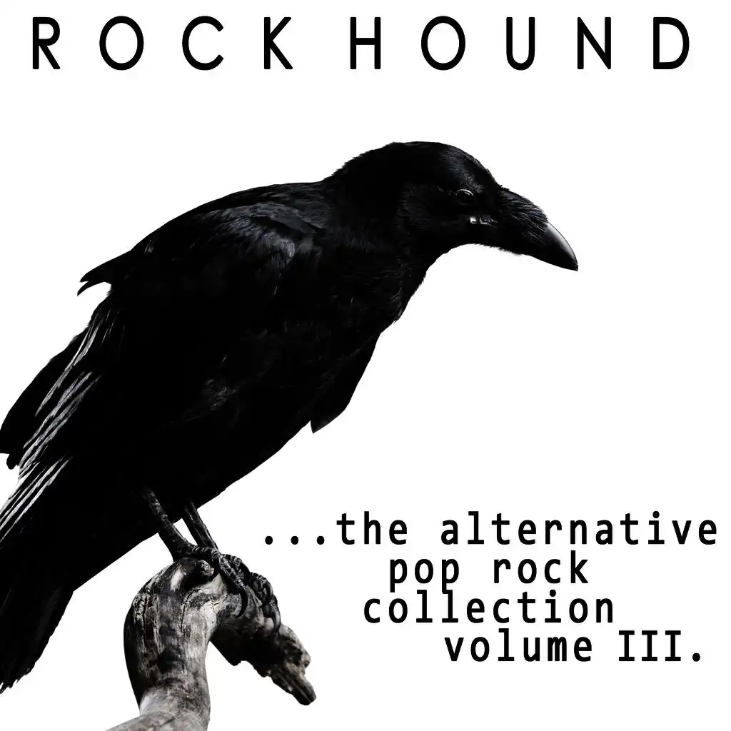 Rock Hound: Alternative Pop Rock, Vol. 3