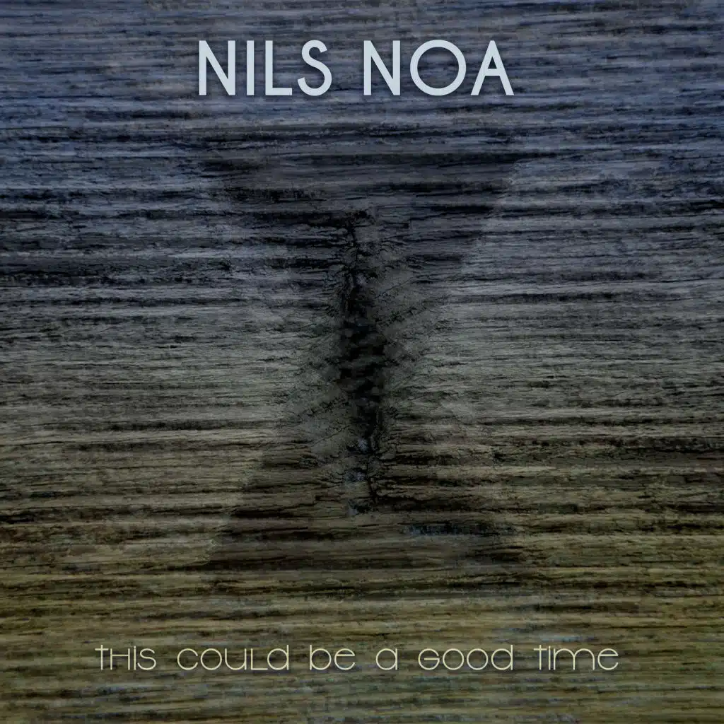 Nils Noa