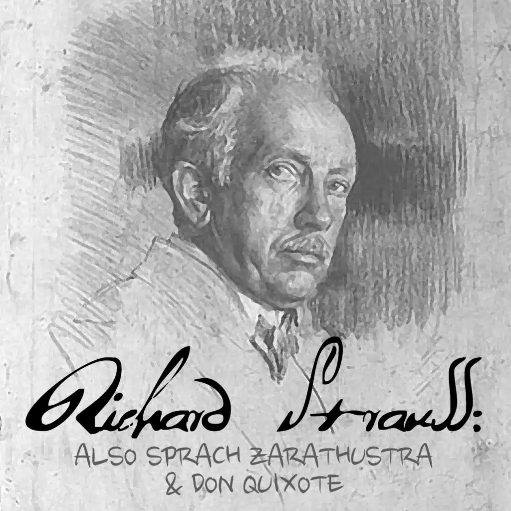 Don Quixote, Op. 35 "Fantastic Variations", Variation III: Mäßiges Zeitmaß. "Dialogue between Knight and Squire"