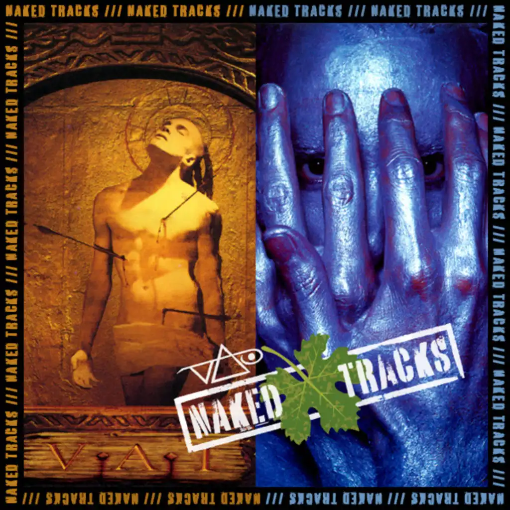 Naked Tracks Vol. 2 (Alien Love Secrets / Sex & Religion - Mixes With No Lead Guitar)
