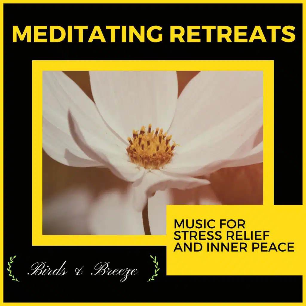 Meditating Retreats - Music For Stress Relief And Inner Peace
