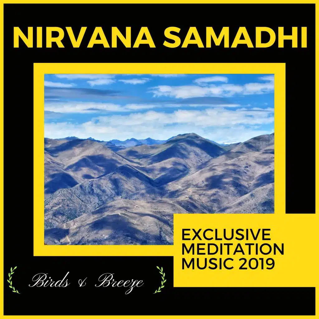 Ambient 11, Spiritual Sound Clubb, Sanct Devotional Club, Mystical Guide, Liquid Ambiance, Trinity Meditationn Club, Yogsutra Relaxation Co, Serenity Calls, Jay Plubber, Rupak Mukherjee