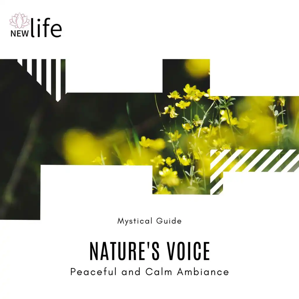 Nature's Voice - Peaceful And Calm Ambiance