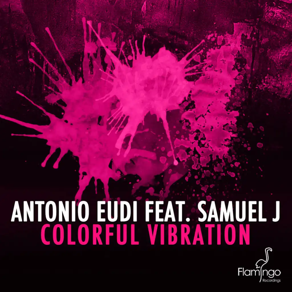 Colorful Vibration (DJ PP Remix) [feat. Samuel J]
