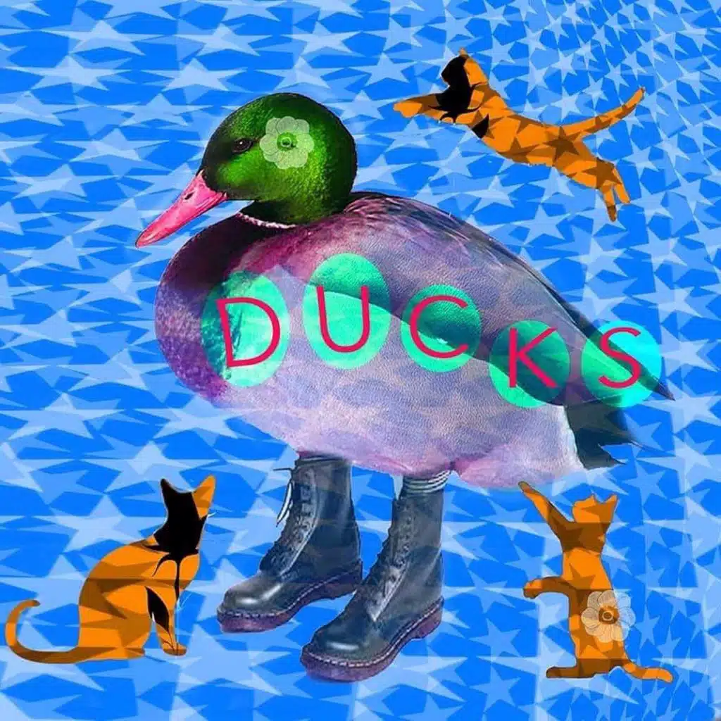 Ducks: Anytime She Sees the Rain
