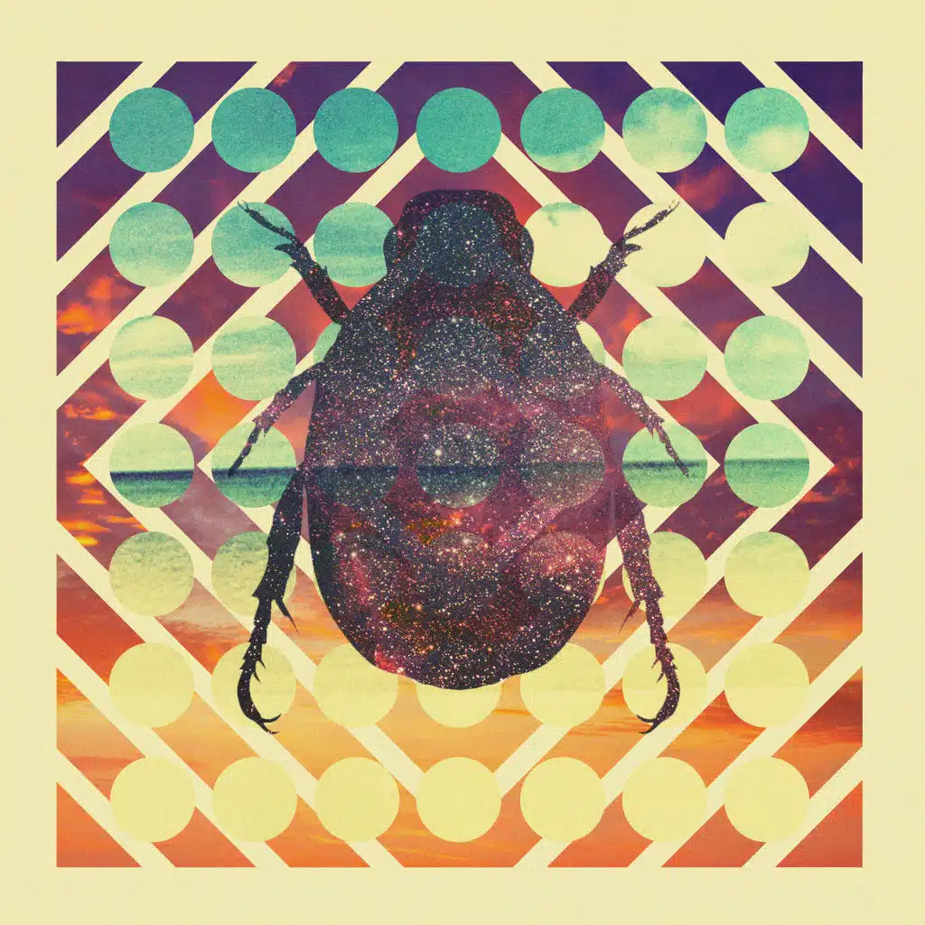 You Only Like What You Know