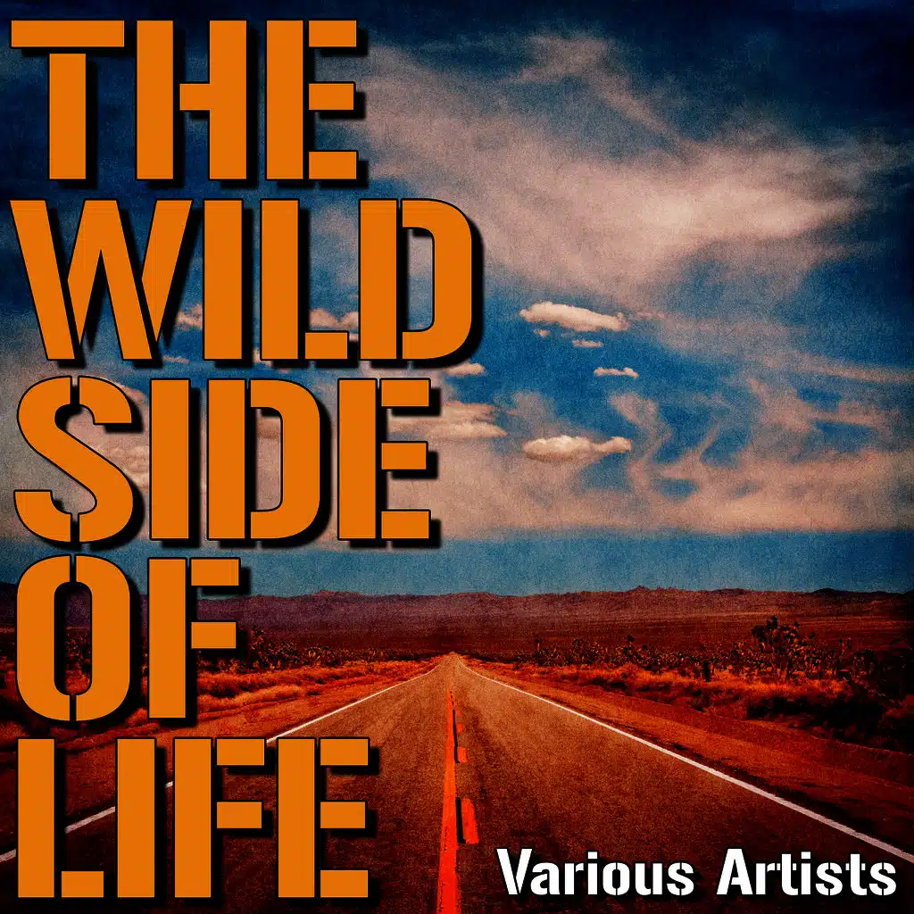 Shoo Shoo Boogie Boo