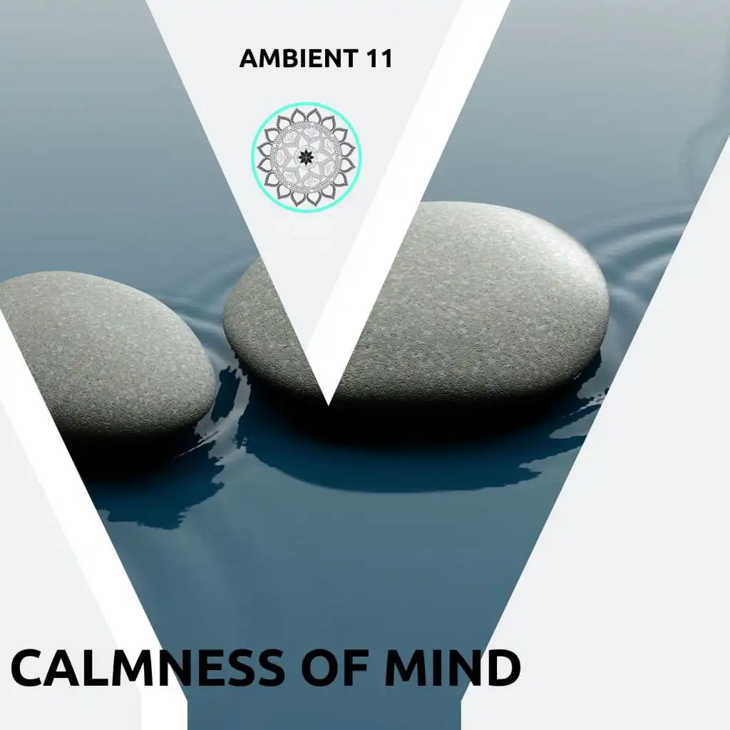 Calmness Of Mind