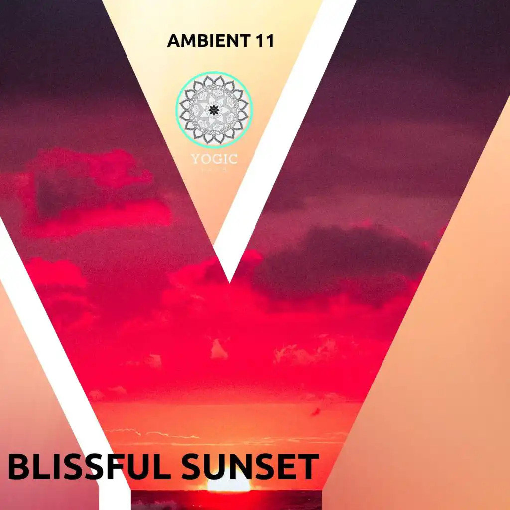 Ambient 11, Serenity Calls