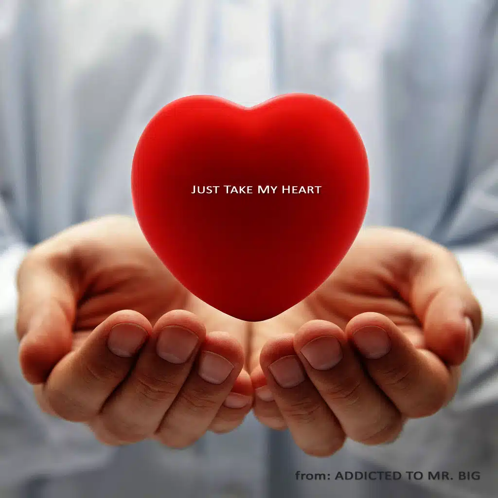 Just Take My Heart (Mr. Big Tribute) [ft. Ernesto Briceño ]