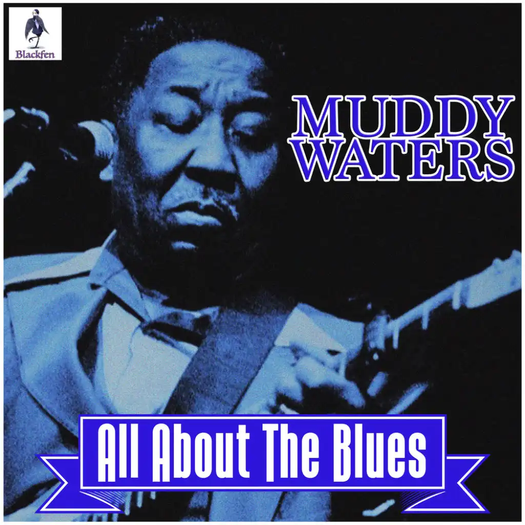 Muddy Waters - All About The Blues