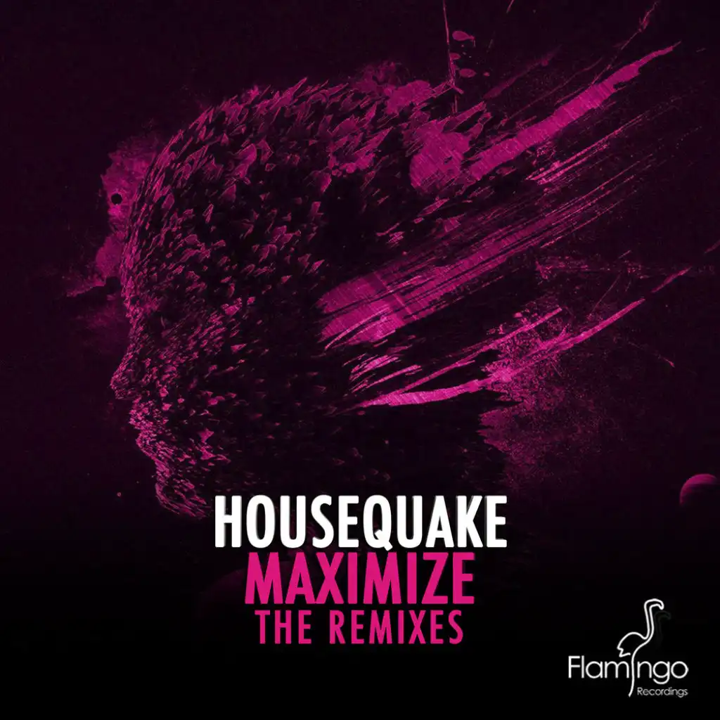 Maximize (The Remixes)