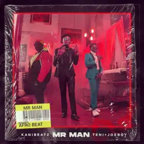 Mr Man (feat. Teni & Joeboy)