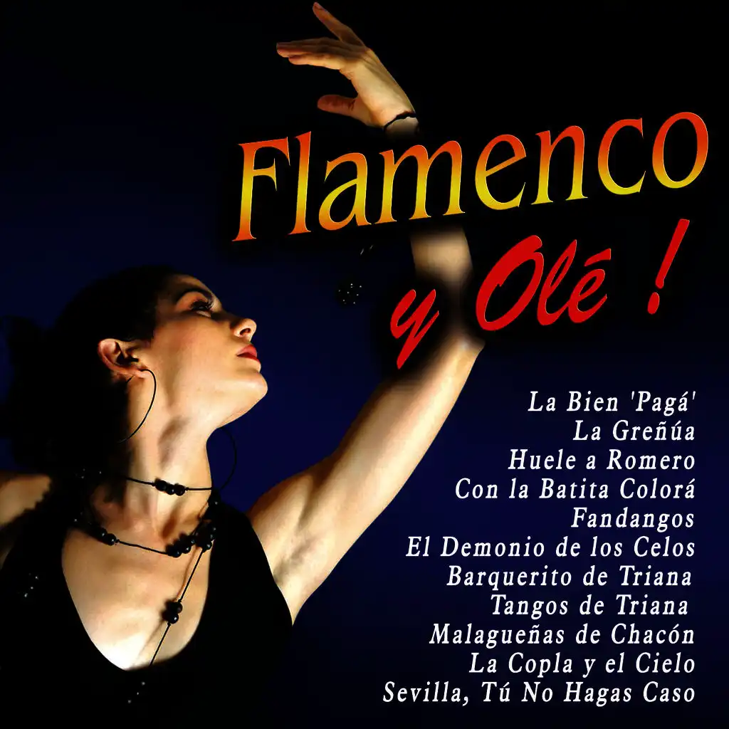 Flamenco y Olé