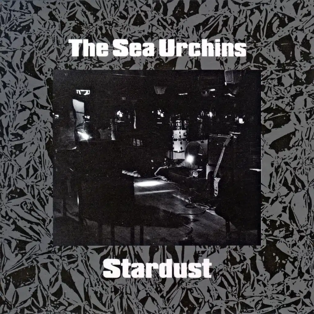 The Sea Urchins