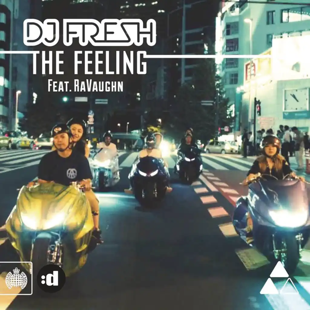 The Feeling (Utah Saints Remix) [feat. RaVaughn]
