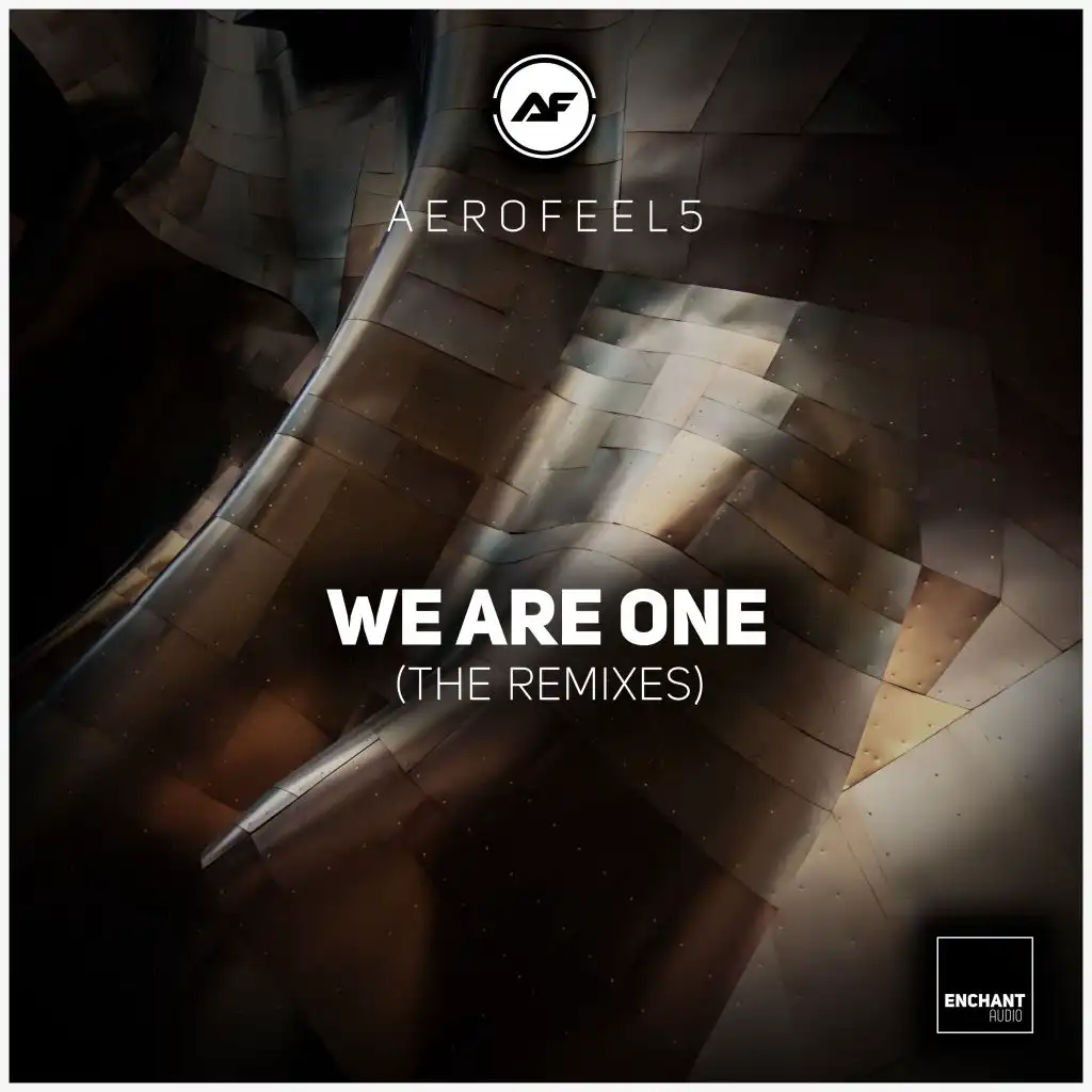 We Are One (Larsson (BE) Remix)