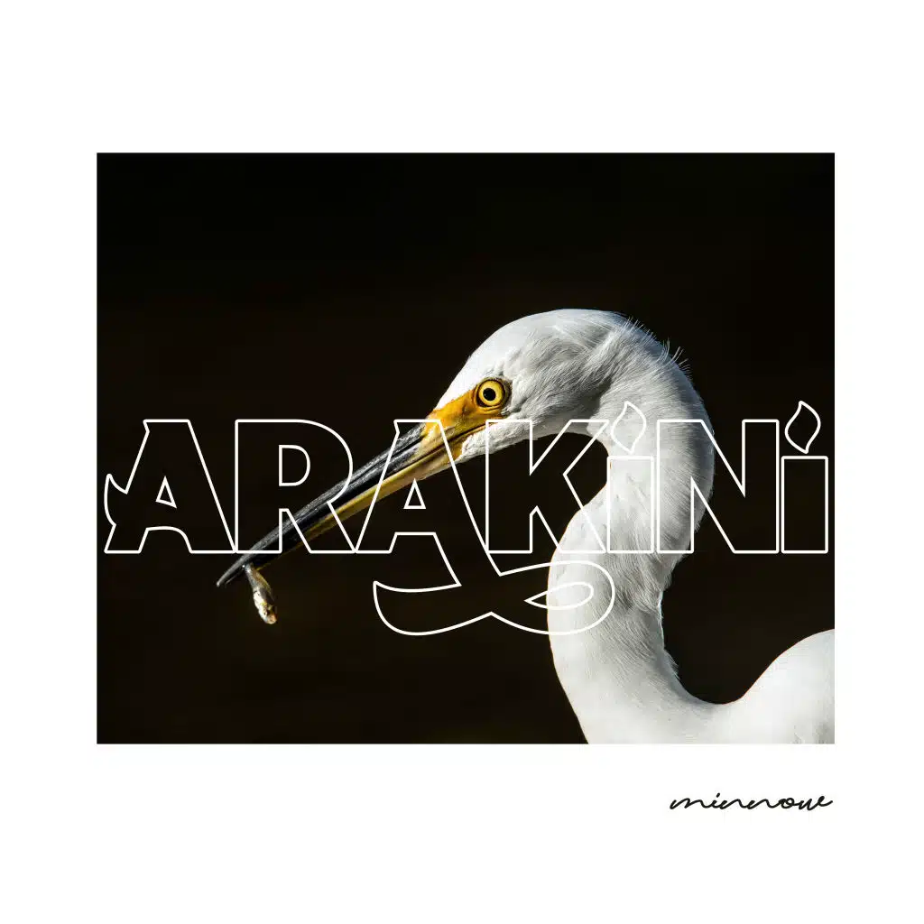 Arakini