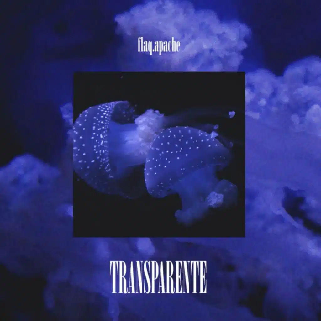 Transparente