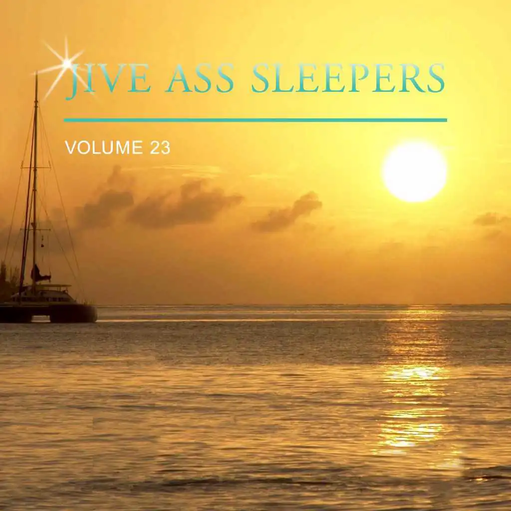 Jive Ass Sleepers, Vol. 23