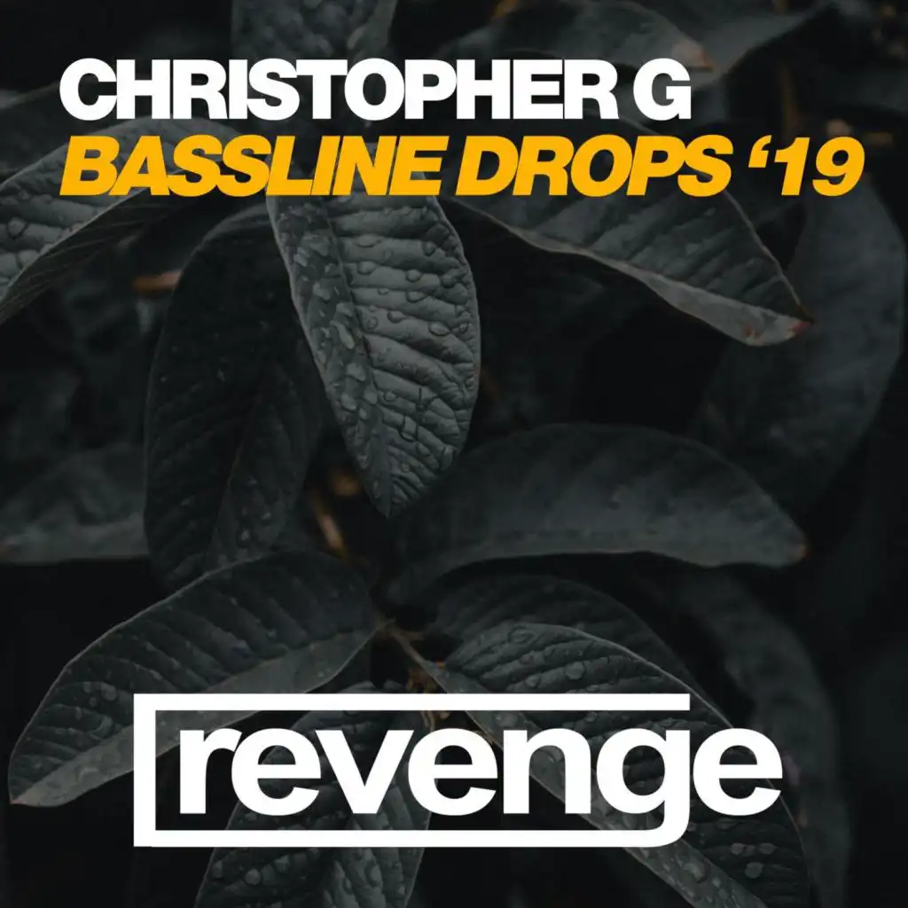 Bassline Drops