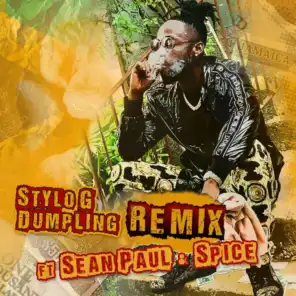 Dumpling (Remix) [feat. Sean Paul & Spice]
