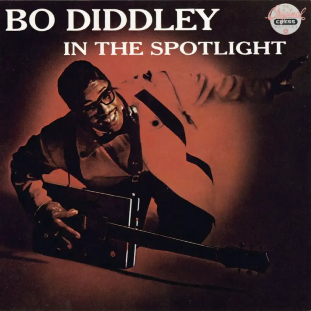 The Story Of Bo Diddley