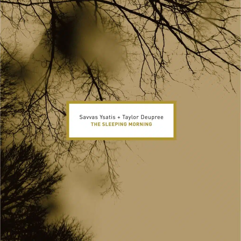 the sleeping morning