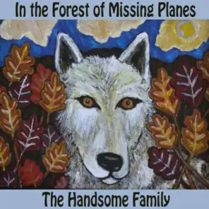In The Forest of Missing Planes