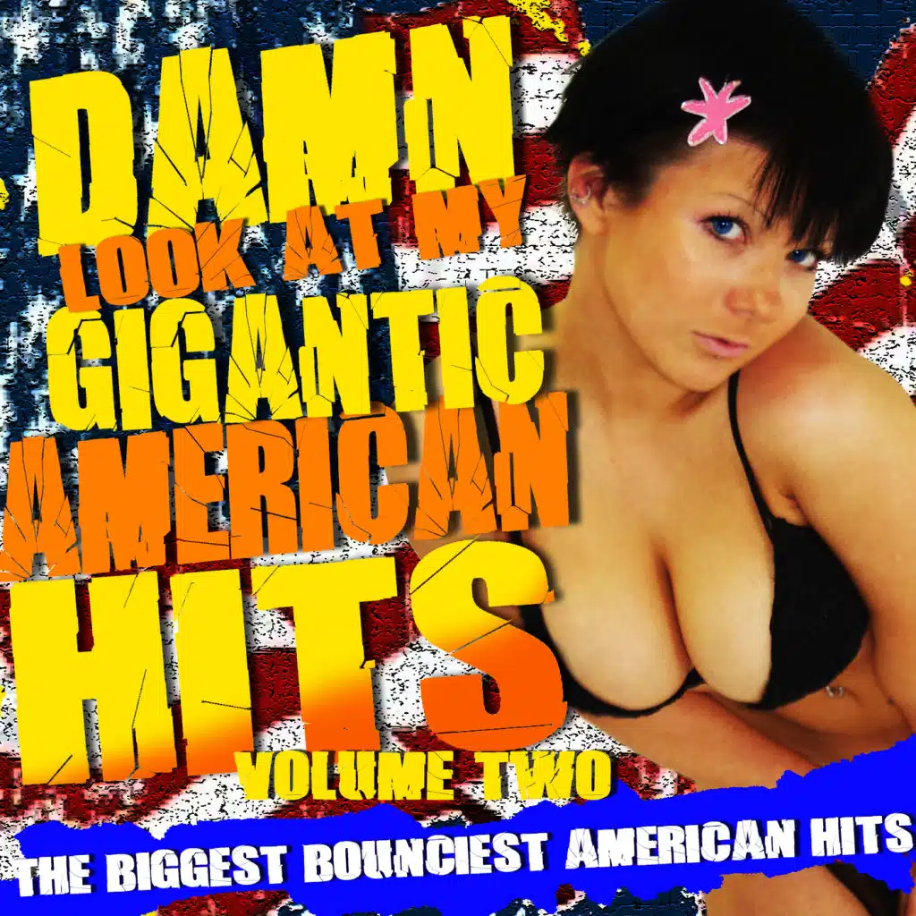 Damn! Look At My Gigantic American Hits! Vol.2