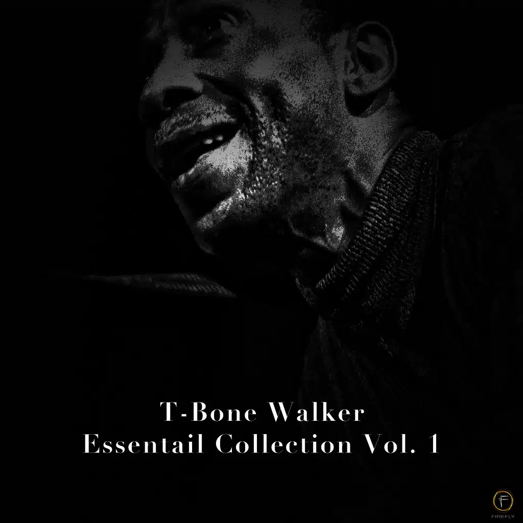 T-Bone Walker, Essentail Collection Vol. 1