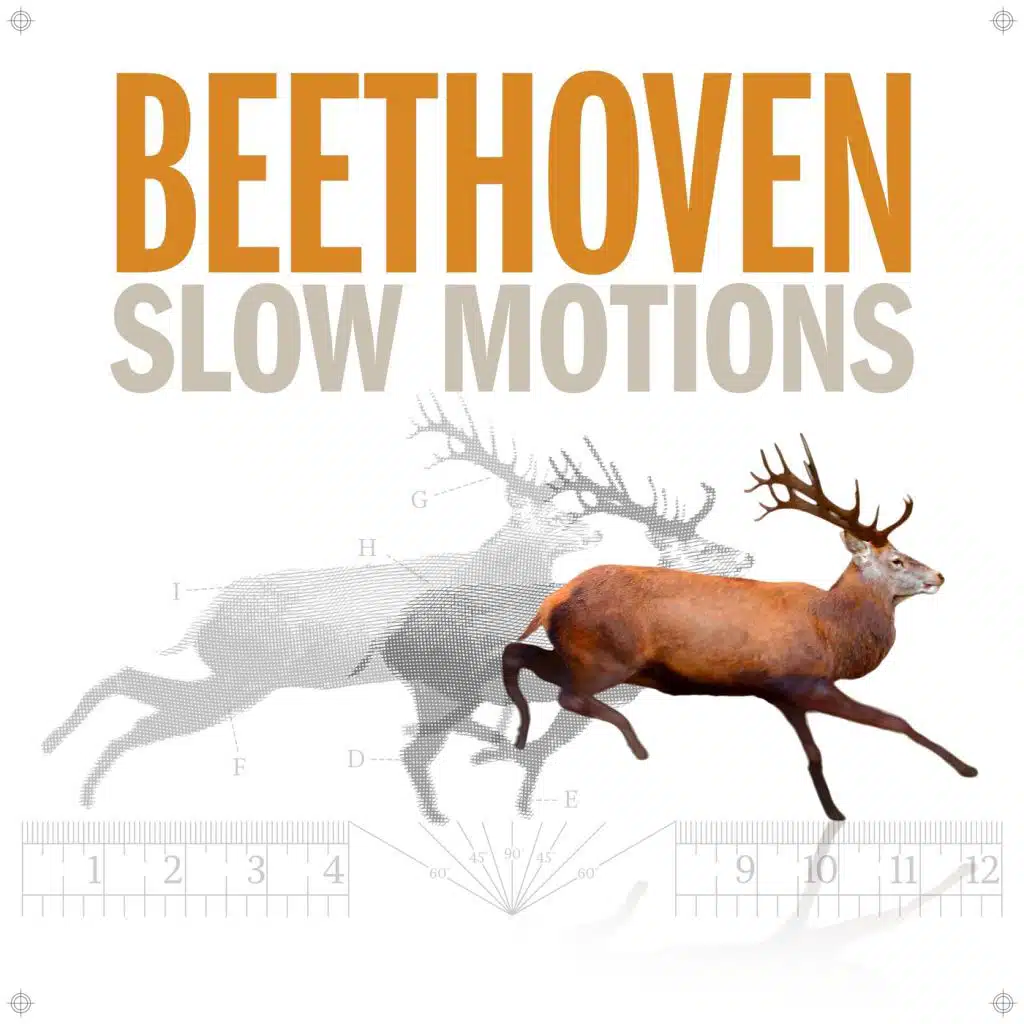 Piano Sonata No. 4, Op. 7: II. Largo con gran espressione